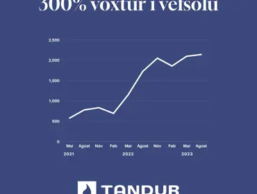 Tandur Case Tolur