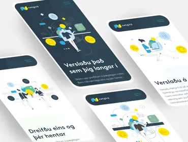 Netgiro 2 (1)